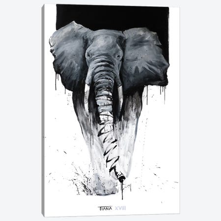 Elephant Canvas Print #TIM10} by TIANA Canvas Art Print