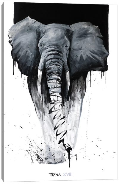 Elephant Canvas Art Print - TIANA