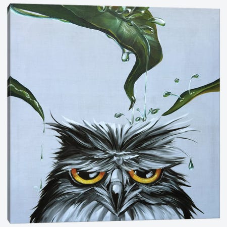 Owl Canvas Print #TIM15} by TIANA Canvas Artwork