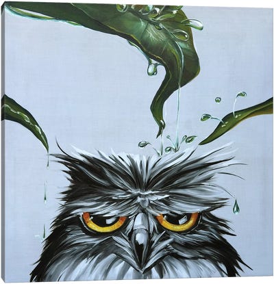 Owl Canvas Art Print - TIANA