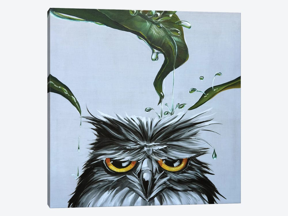 Owl by TIANA 1-piece Canvas Artwork