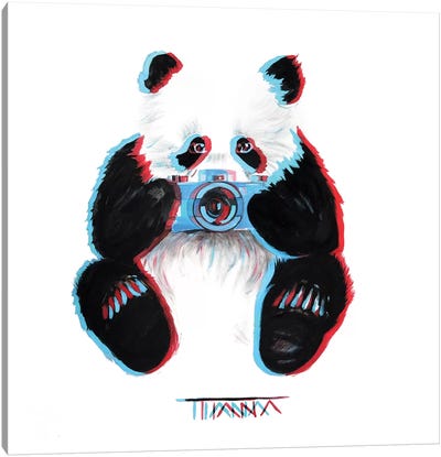 Panda Canvas Art Print - TIANA