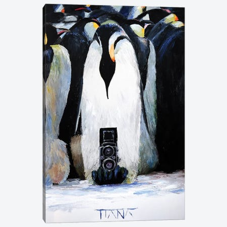 Penguins Canvas Print #TIM17} by TIANA Canvas Art