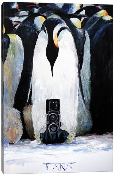Penguins Canvas Art Print - TIANA