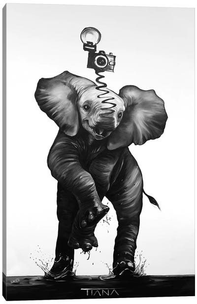 Baby Elephant In Black And White Canvas Art Print - TIANA