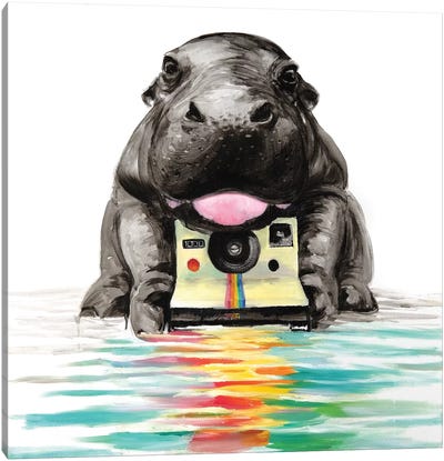 Baby Hippo Canvas Art Print - Hippopotamus Art