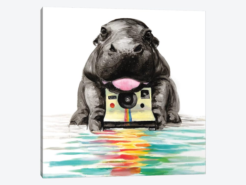 Baby Hippo by TIANA 1-piece Canvas Art