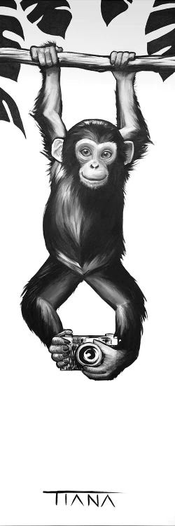 Baby Monkey In Black And White Canvas Art Print By Tiana Icanvas