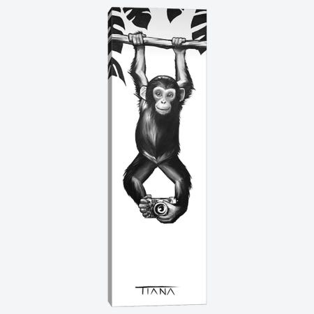 Baby Monkey In Black And White Canvas Print #TIM5} by TIANA Canvas Wall Art