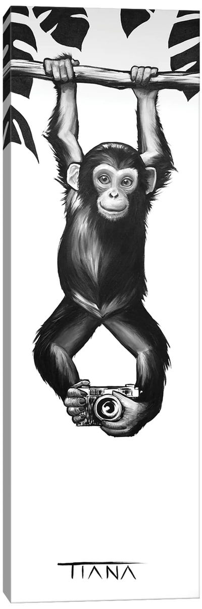 Baby Monkey In Black And White Canvas Art Print