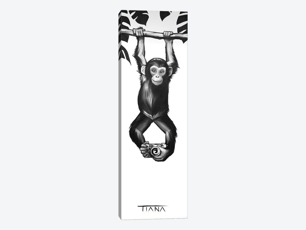 Baby Monkey In Black And White by TIANA 1-piece Canvas Art Print