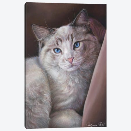 Cat Canvas Print #TJB10} by Tatjana Bril Canvas Artwork