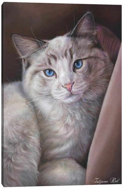 Cat Canvas Art Print - Tatjana Bril