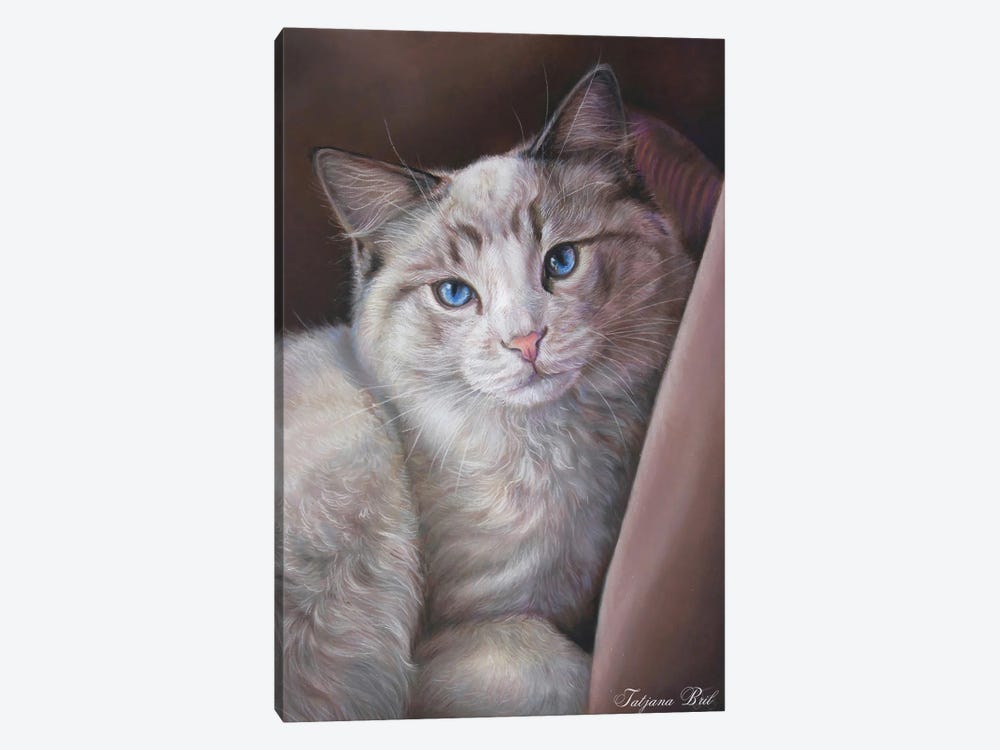 Cat by Tatjana Bril 1-piece Canvas Art Print