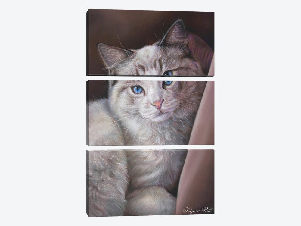 Cat by Tatjana Bril 3-piece Canvas Print