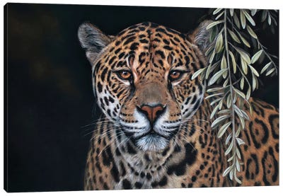 Cheetah Canvas Art Print - Tatjana Bril