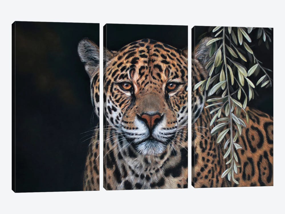 Cheetah by Tatjana Bril 3-piece Canvas Art