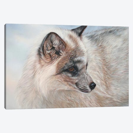 Snow Fox Canvas Print #TJB12} by Tatjana Bril Canvas Wall Art
