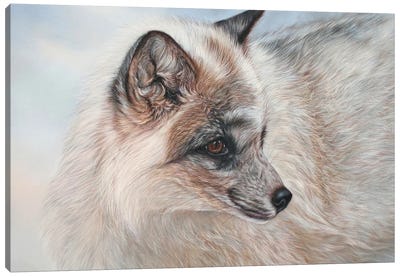 Snow Fox Canvas Art Print - Tatjana Bril