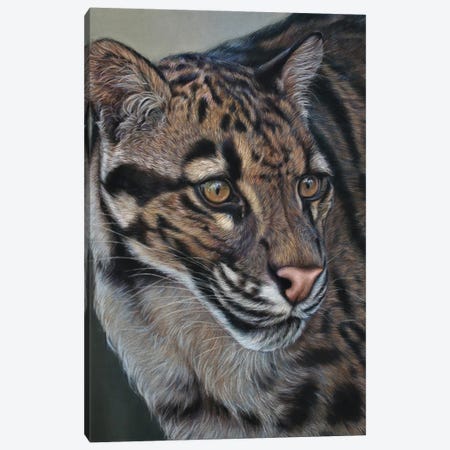 Clouded Leopard Canvas Print #TJB13} by Tatjana Bril Canvas Artwork