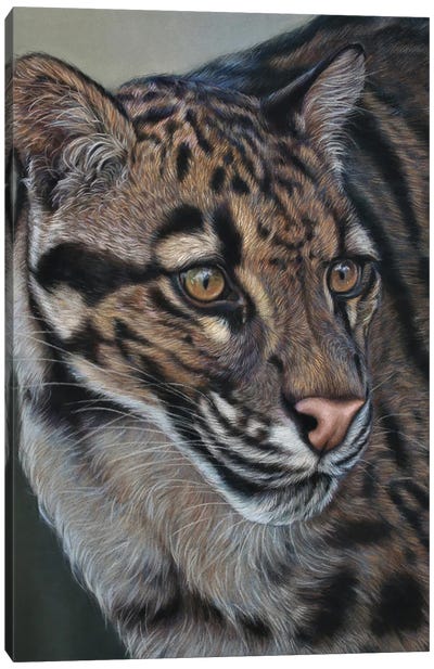 Clouded Leopard Canvas Art Print - Tatjana Bril
