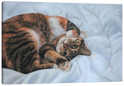 Sleeping Cat Canvas Art Print - Tabby Cat Art