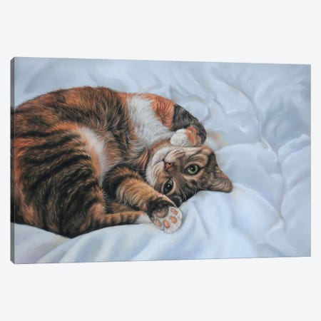 Sleeping Cat Canvas Print #TJB14} by Tatjana Bril Canvas Art Print