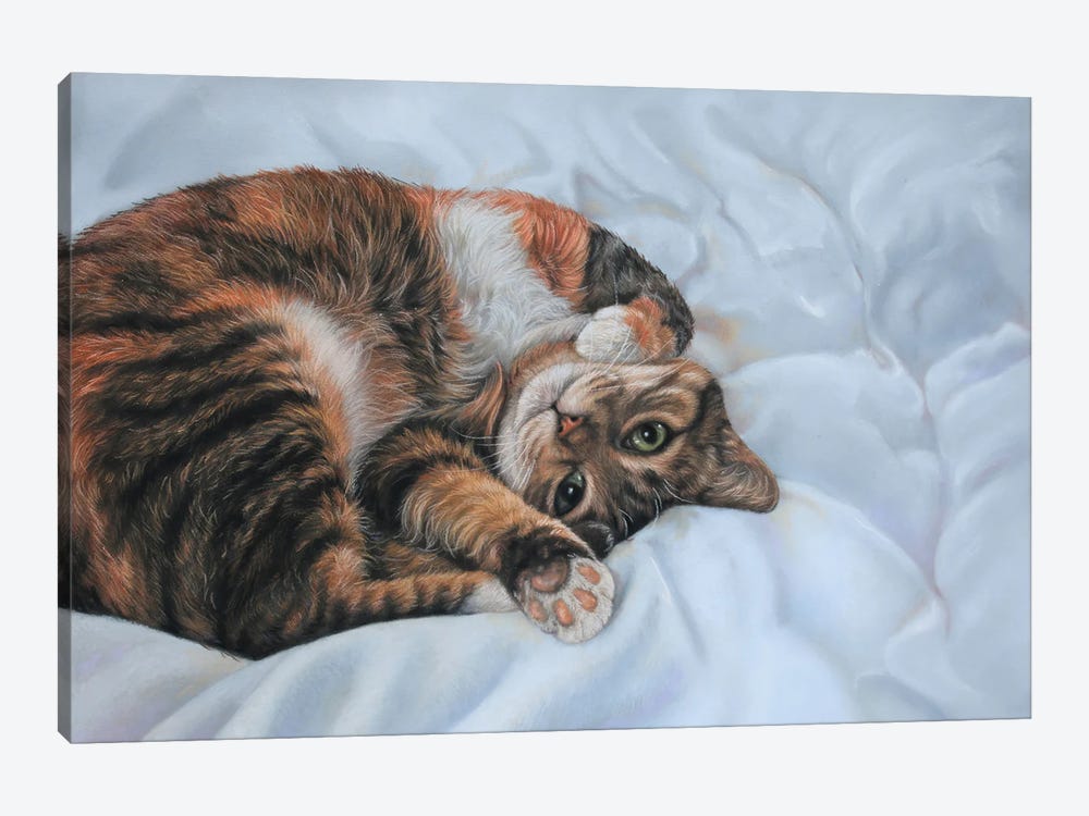 Sleeping Cat by Tatjana Bril 1-piece Art Print