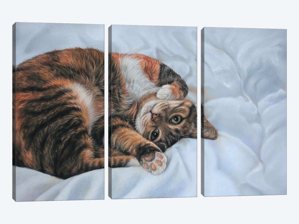 Sleeping Cat by Tatjana Bril 3-piece Canvas Print