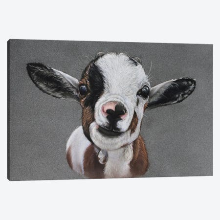 Baby Goat Canvas Print #TJB15} by Tatjana Bril Canvas Art Print