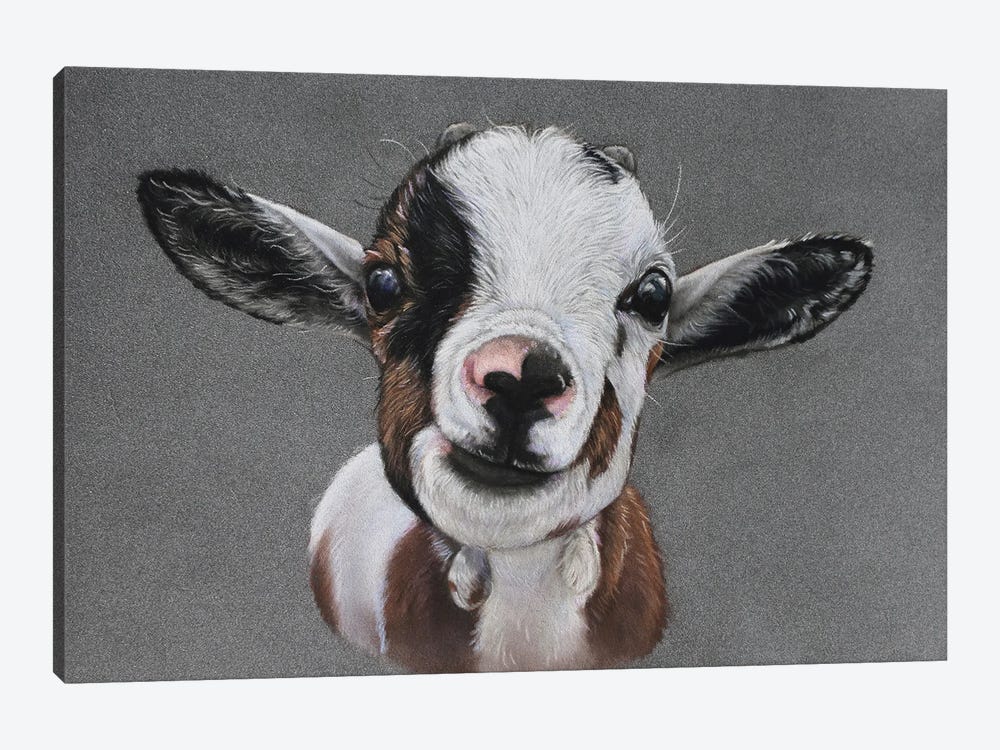Baby Goat by Tatjana Bril 1-piece Canvas Art