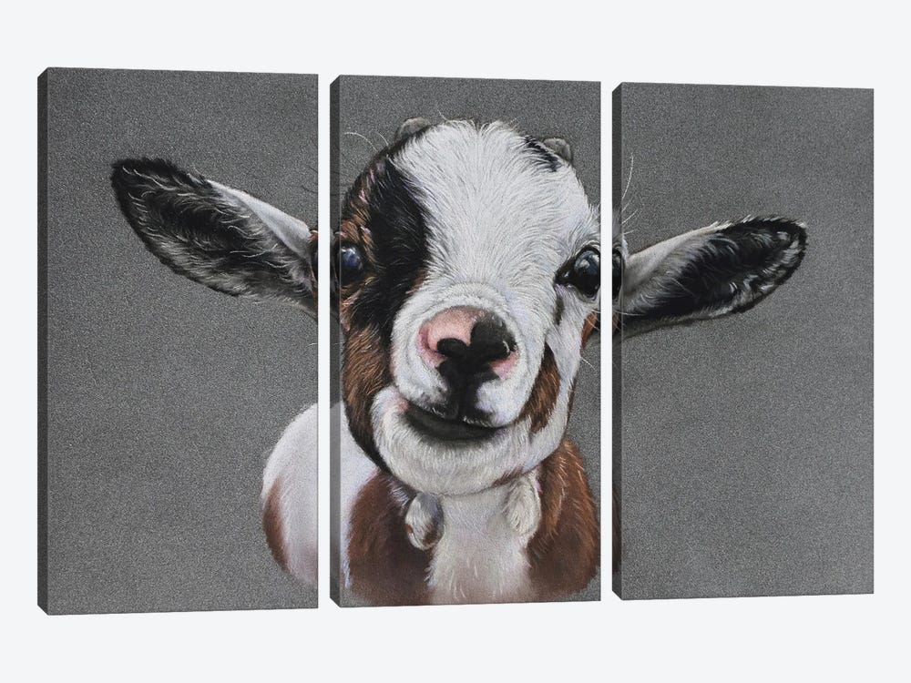 Baby Goat by Tatjana Bril 3-piece Canvas Art
