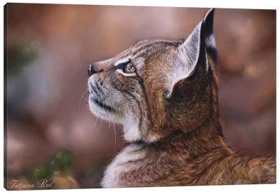 Lynx Cub Canvas Art Print - Tatjana Bril