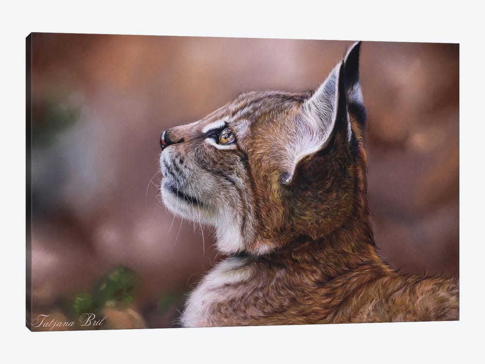 Lynx Cub by Tatjana Bril 1-piece Canvas Art Print