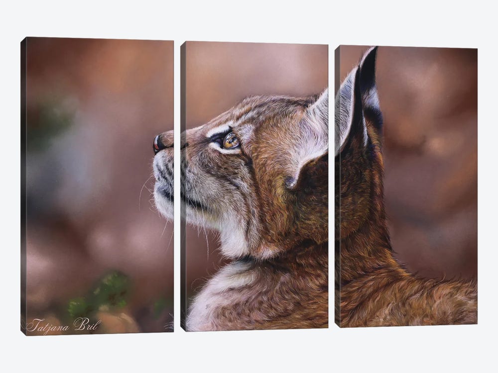 Lynx Cub by Tatjana Bril 3-piece Canvas Art Print