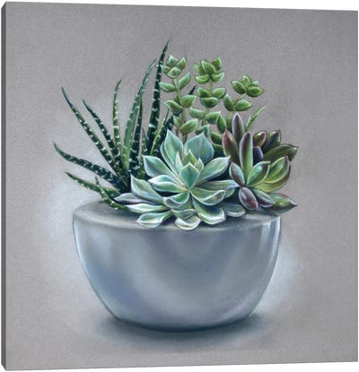 Succulents Canvas Art Print - Plant Mom