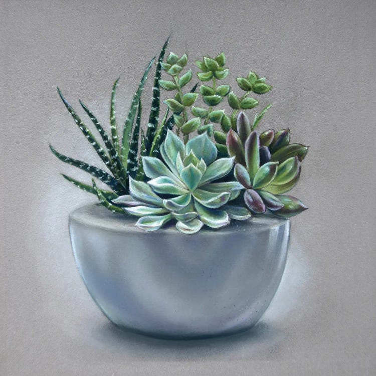 Succulents