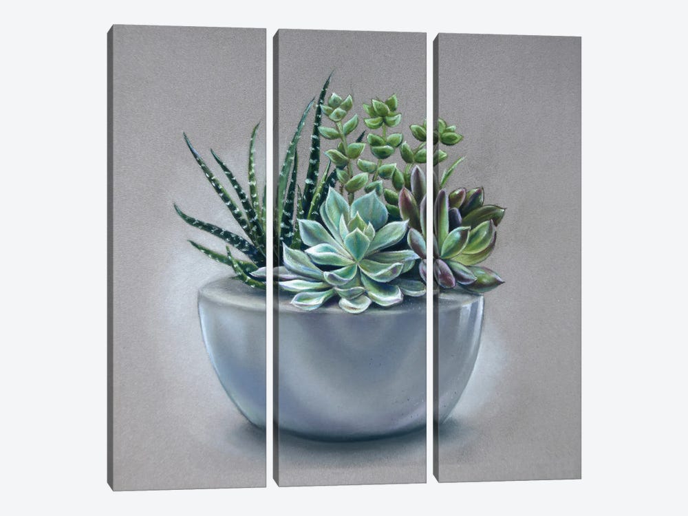 Succulents by Tatjana Bril 3-piece Canvas Artwork