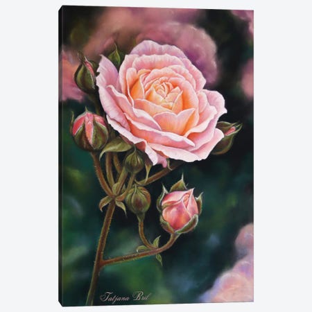 Rose Canvas Print #TJB18} by Tatjana Bril Canvas Art