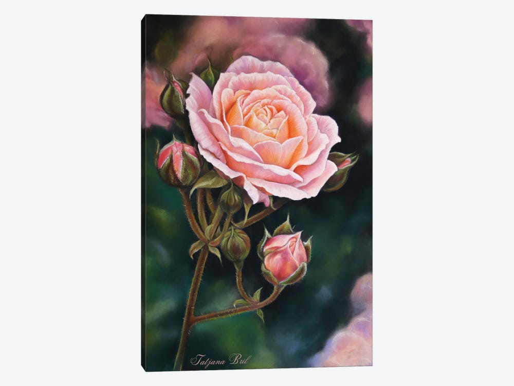 Rose by Tatjana Bril 1-piece Canvas Print