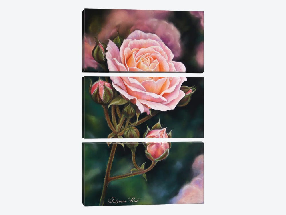 Rose by Tatjana Bril 3-piece Canvas Art Print