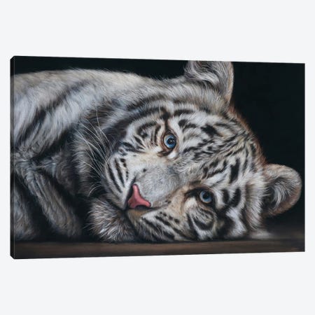 White Tiger Canvas Print #TJB1} by Tatjana Bril Canvas Print