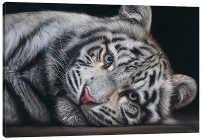White Tiger Canvas Art Print - Tatjana Bril