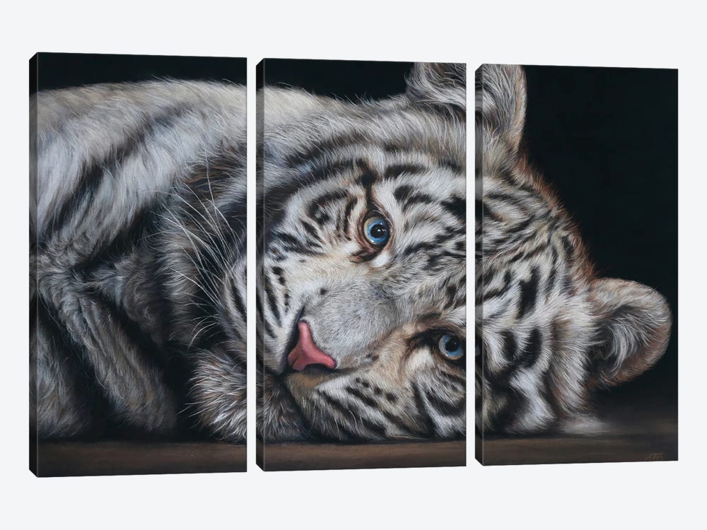 White Tiger by Tatjana Bril 3-piece Canvas Artwork