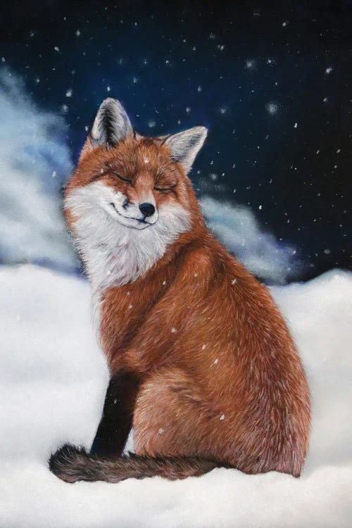 Red Fox In The Snow