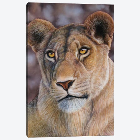 Lioness Canvas Print #TJB21} by Tatjana Bril Canvas Print