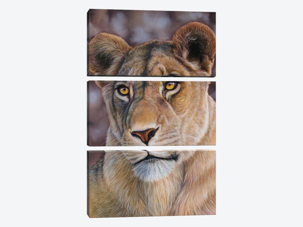 Lioness by Tatjana Bril 3-piece Canvas Art Print