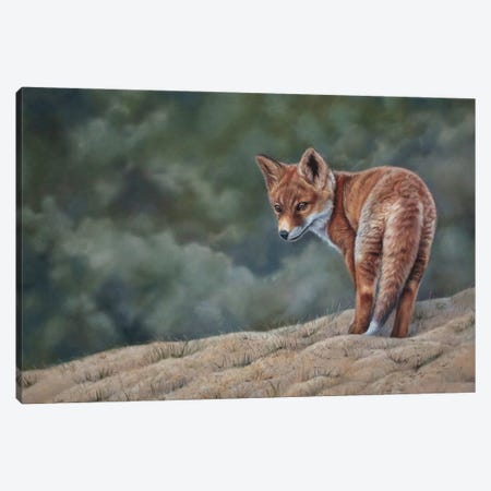 Young Fox Canvas Print #TJB22} by Tatjana Bril Canvas Print