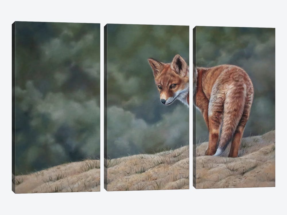 Young Fox by Tatjana Bril 3-piece Canvas Art