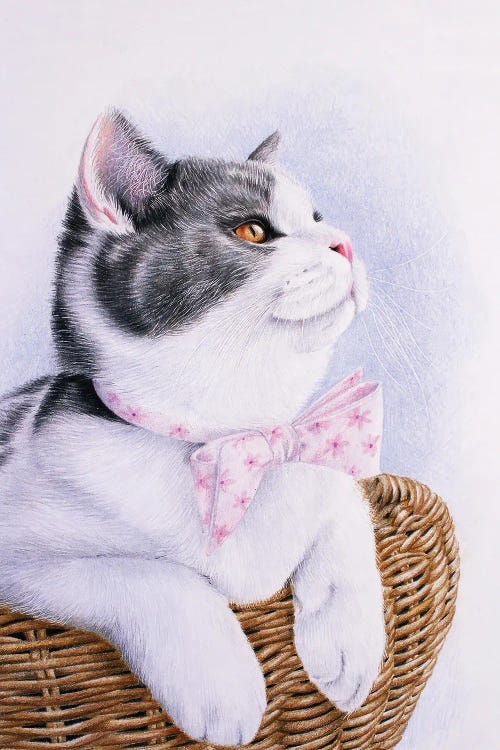 Cat With A Bow